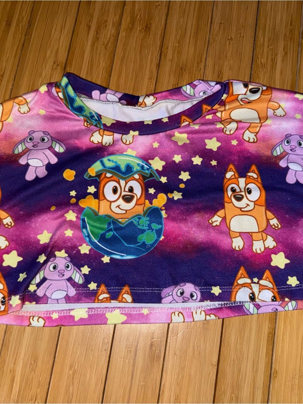 Bluey Bingo Crop Top